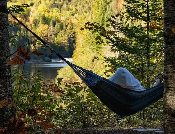 Chalet au bord de l’eau avec expérience thermale privée - hamacs avec vue sur la chute