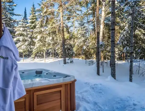 chalet avec spa et sauna privé - expérience thermale complète et privée
