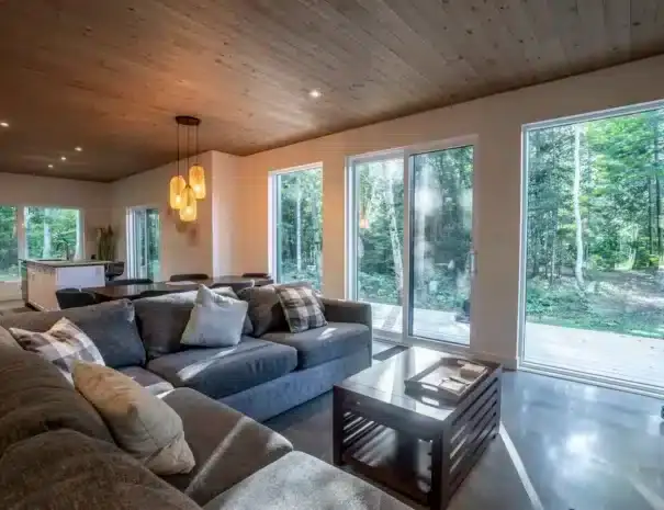 Chalet haut de gamme au bord de l'eau avec expérience thermale complète digne d’un spa nordique privé - Grand salon fenestré avec foyer au bois
