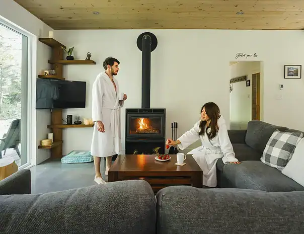 Hôtel avec spa et expérience thermale privée - salon avec foyer au bois