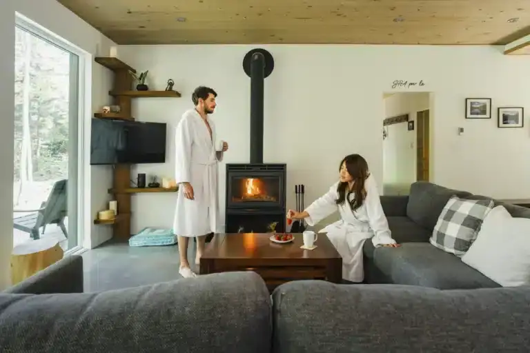 Hôtel avec spa et expérience thermale privée - salon avec foyer au bois