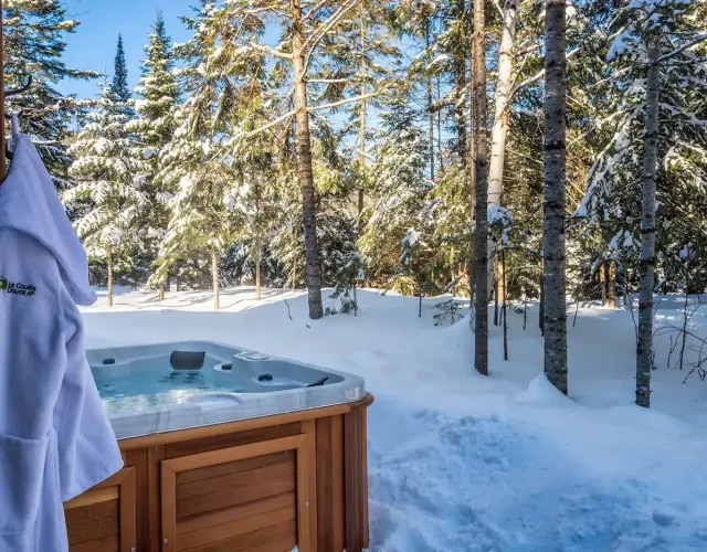 Bain tourbillon de marque Artic Spa avec véritables jets thérapeutiques et vue sur la forêt chalet avec spa et sauna privé - expérience thermale complète et privée